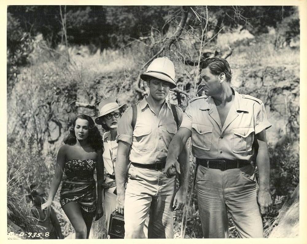 ジャングル・ジムの画像