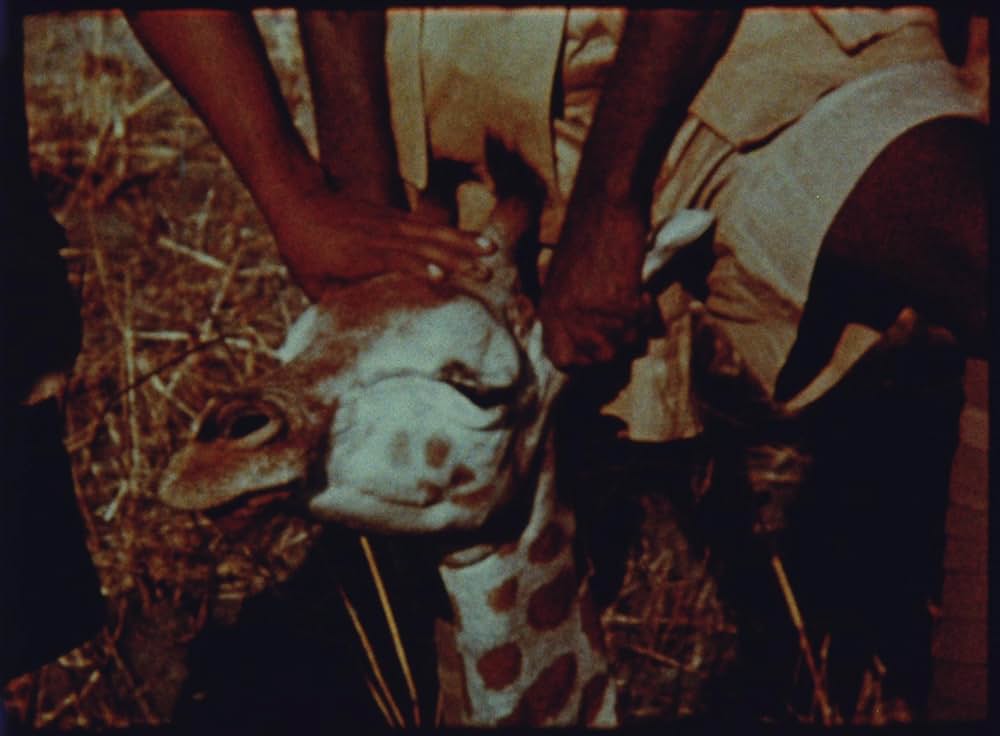 Unsere Afrikareise（原題）の画像