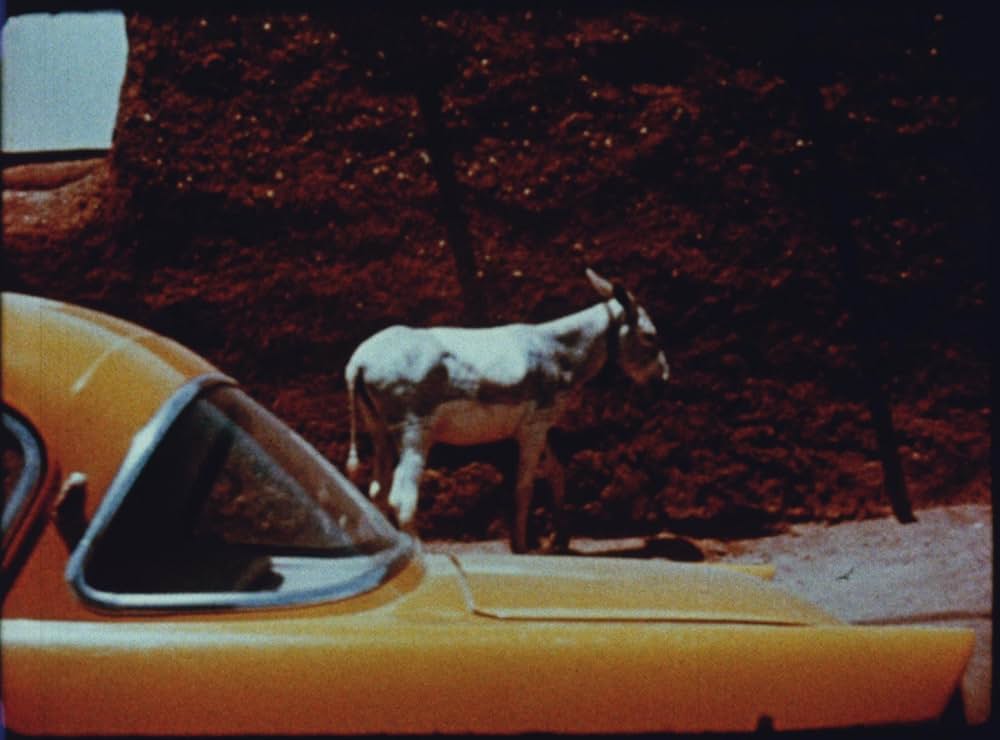 Unsere Afrikareise（原題）の画像