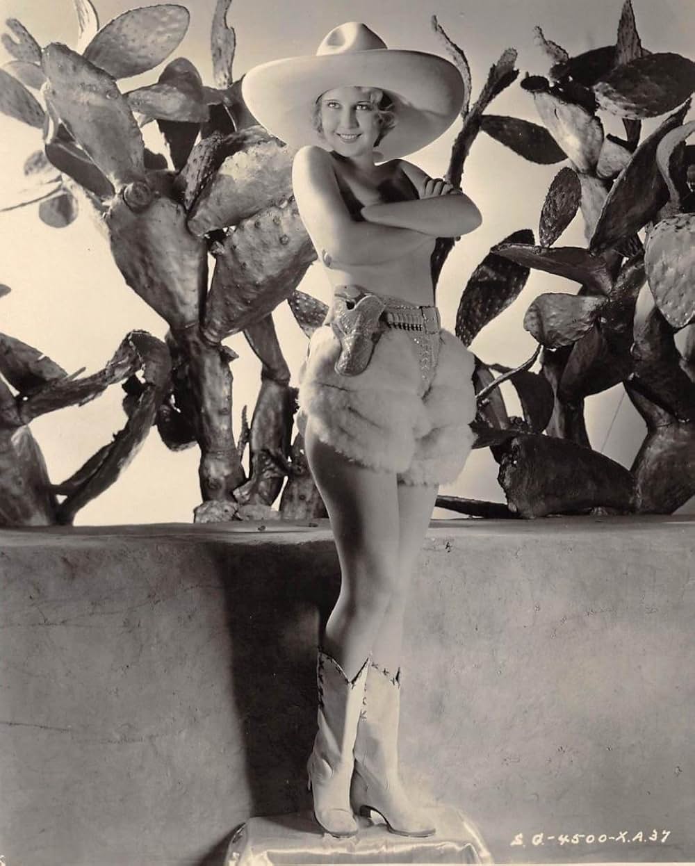 フーピーの画像