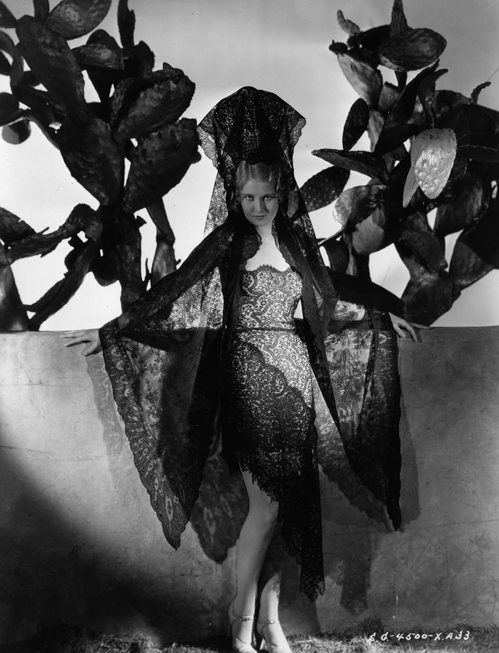 フーピーの画像