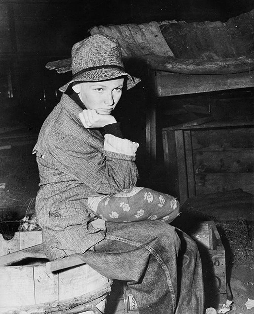 サリヴァンの旅の画像