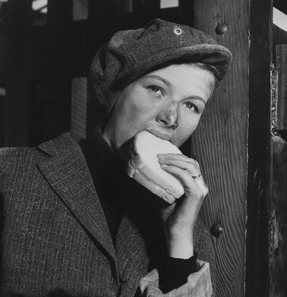 サリヴァンの旅の画像