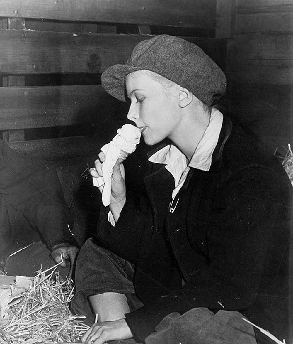 サリヴァンの旅の画像