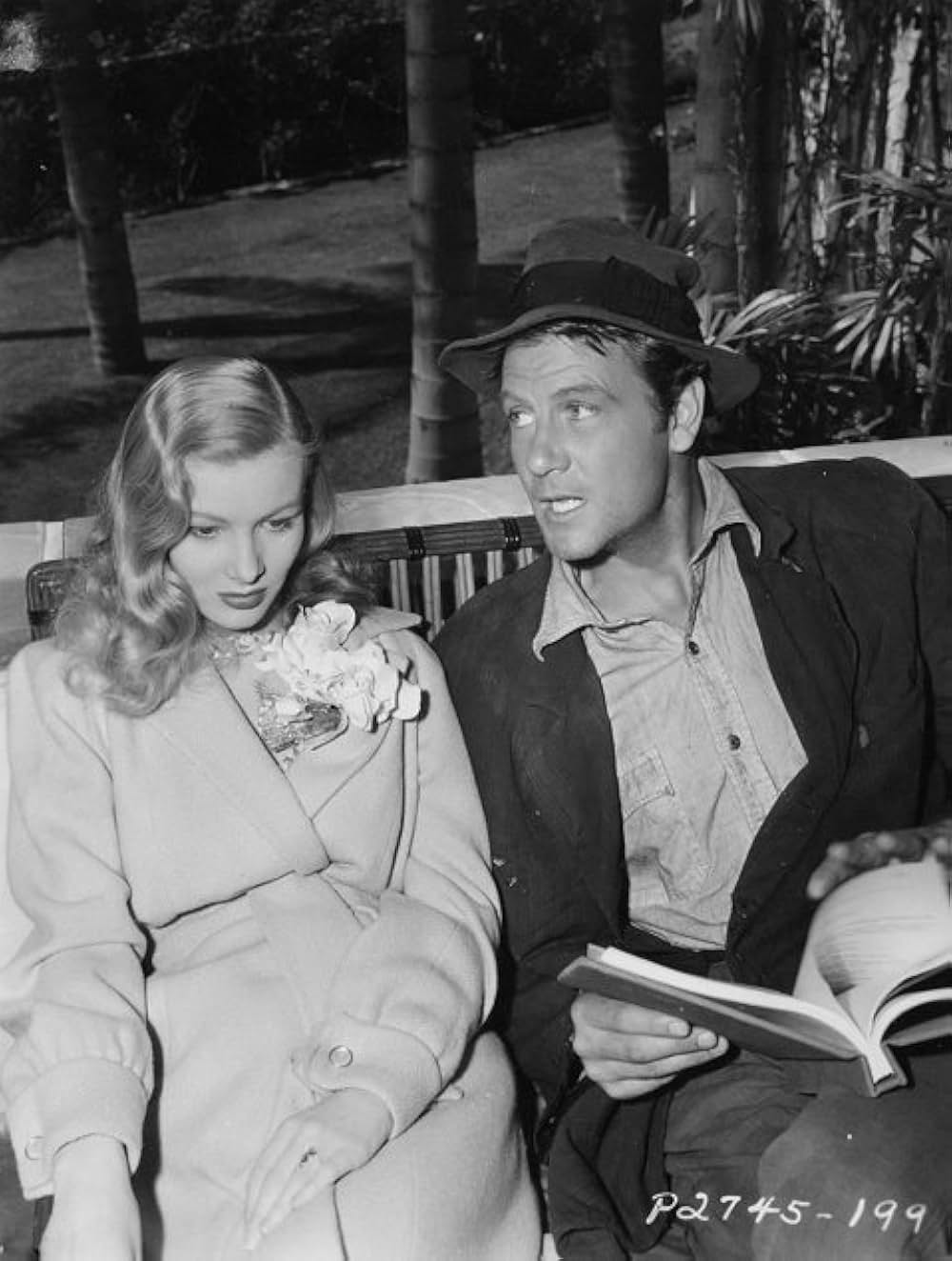 サリヴァンの旅の画像