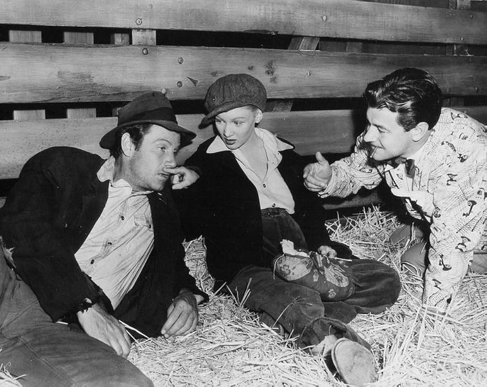 サリヴァンの旅の画像