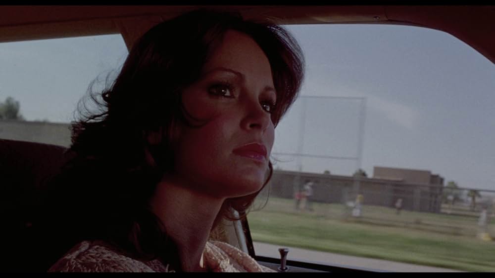 ナイトキルの画像