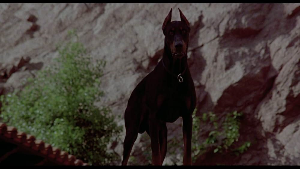 ナイトキルの画像