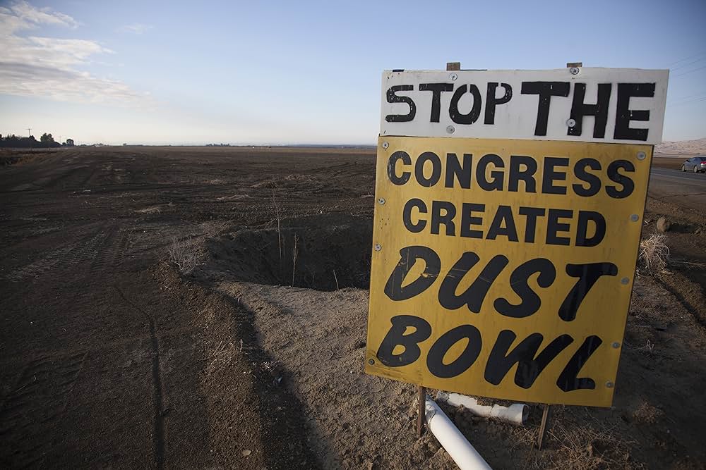 雨に願いをの写真
