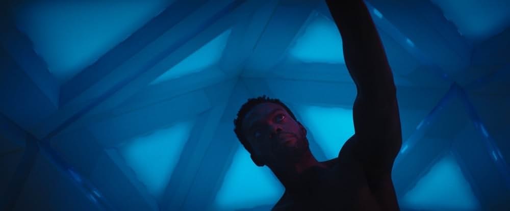 They Remain（原題）の写真