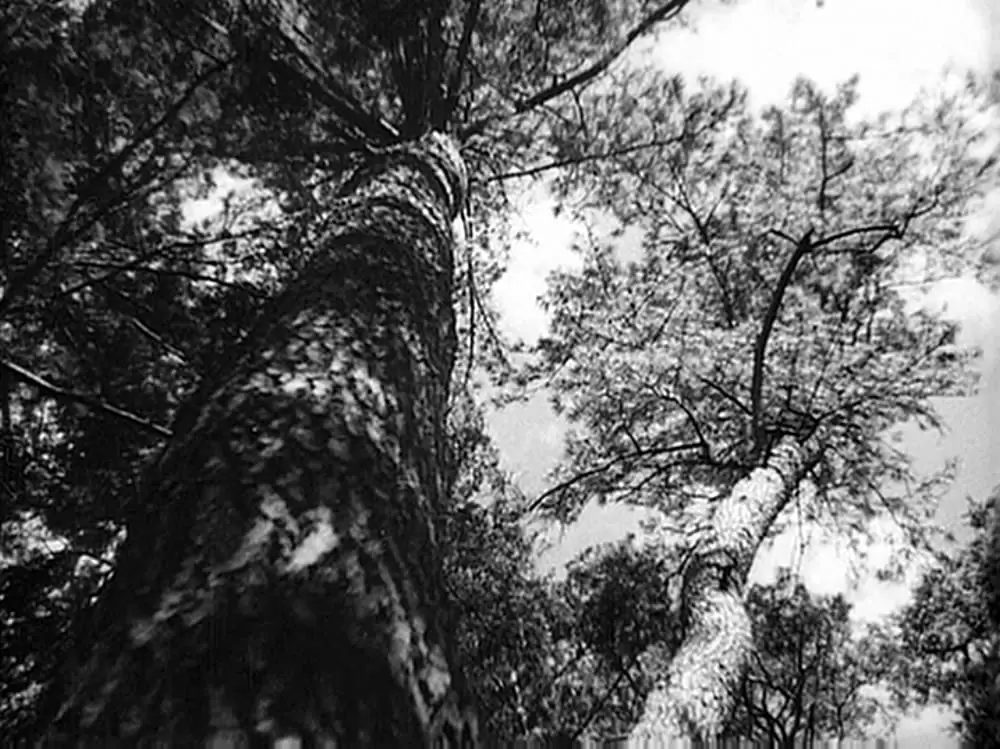 虎の尾を踏む男達の画像