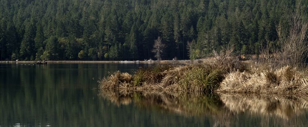 レッドウッド・ハイウェイ（原題）の画像