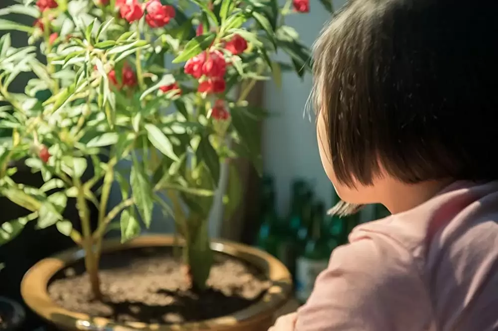 わたしたちの画像