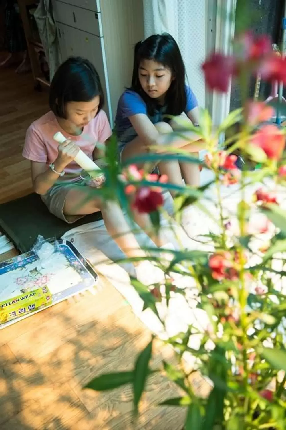 わたしたちの画像