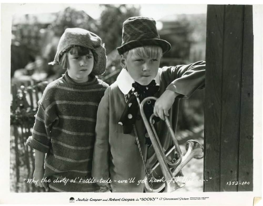 スーキイの画像