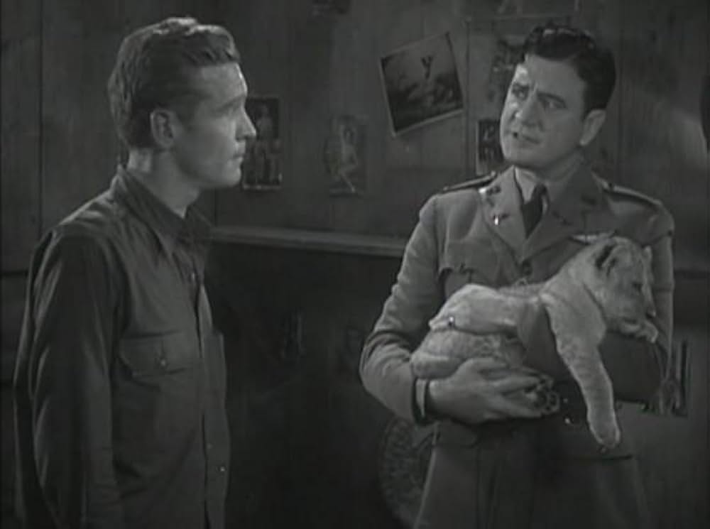 空軍の覇者の画像