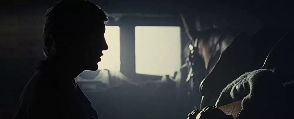 戦火の馬の画像