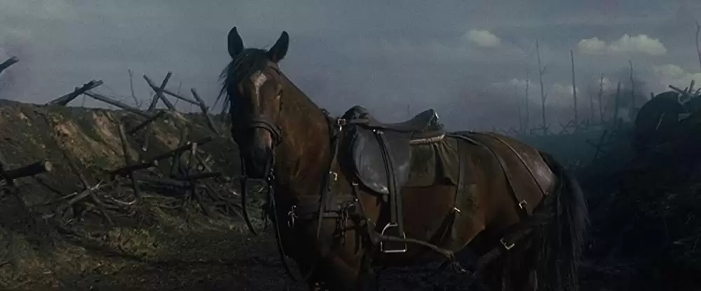 戦火の馬の画像