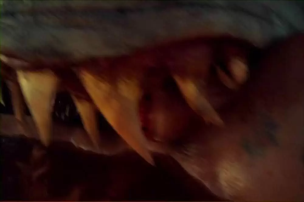 ダブルヘッド・ジョーズの画像