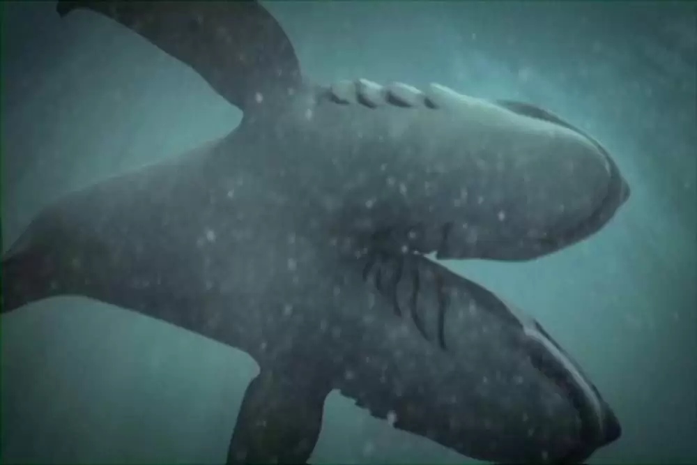 ダブルヘッド・ジョーズの画像