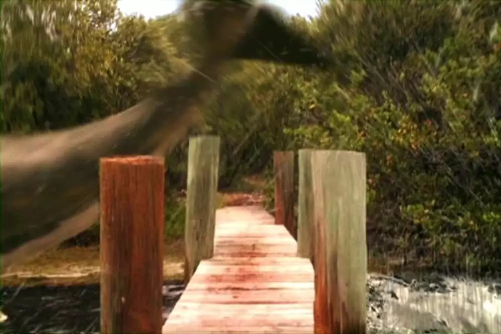 ダブルヘッド・ジョーズの画像