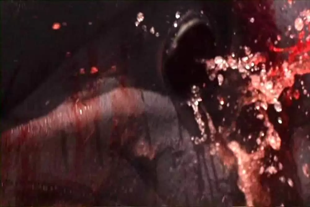 ダブルヘッド・ジョーズの画像