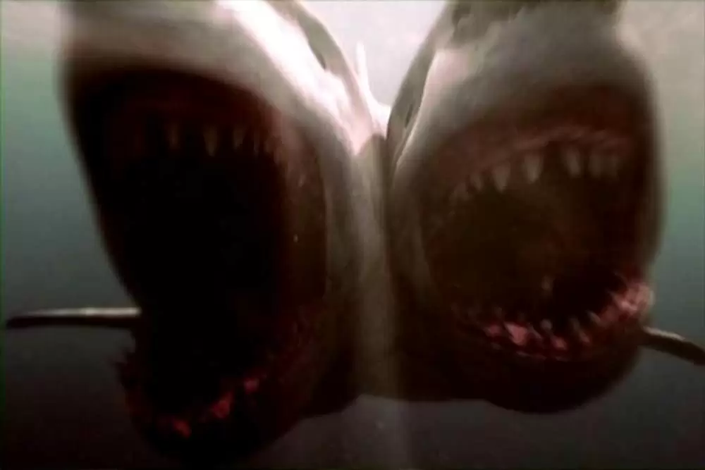 ダブルヘッド・ジョーズの画像