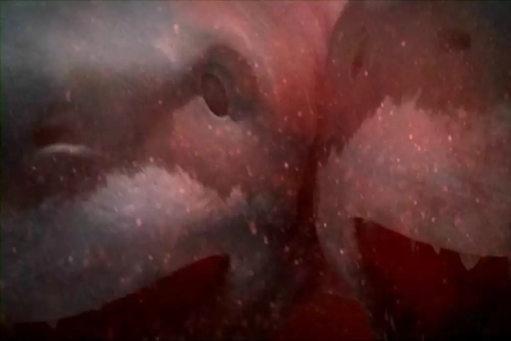 ダブルヘッド・ジョーズの画像