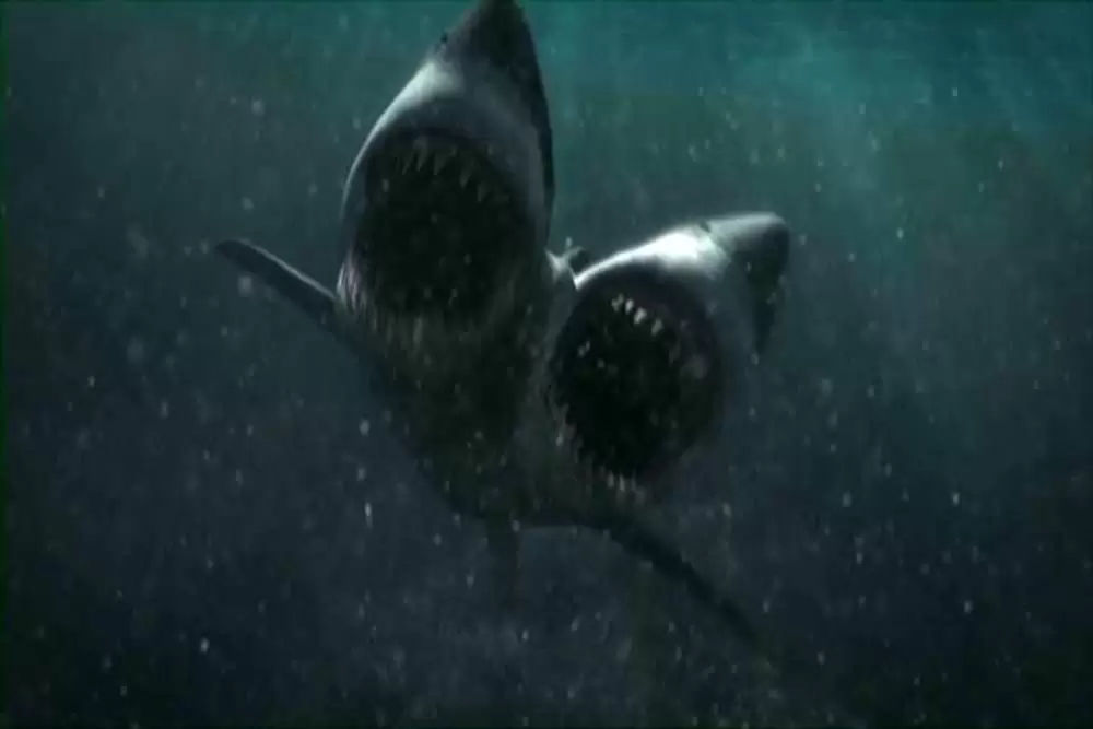 ダブルヘッド・ジョーズの画像