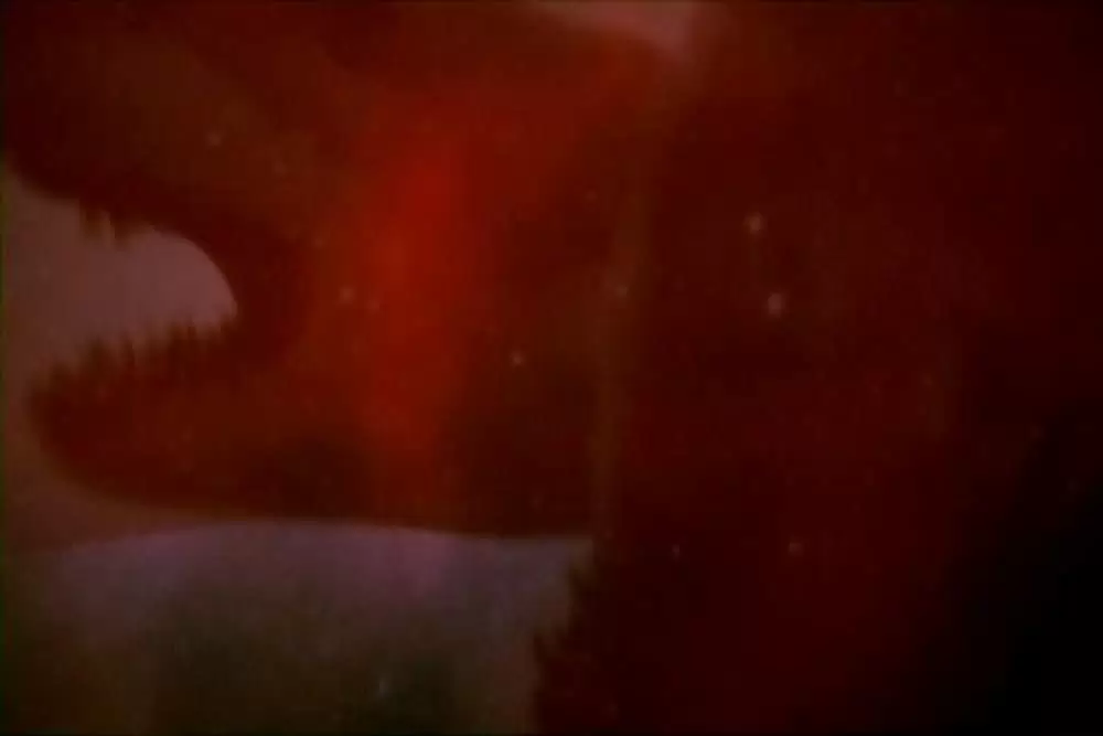 ダブルヘッド・ジョーズの画像