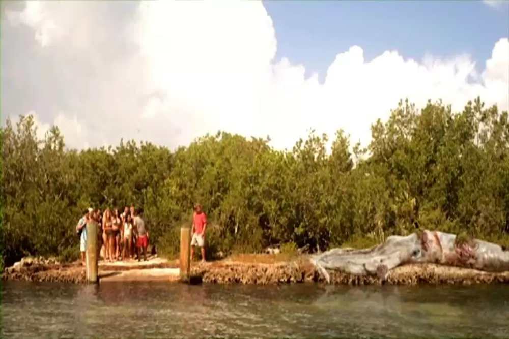 ダブルヘッド・ジョーズの画像