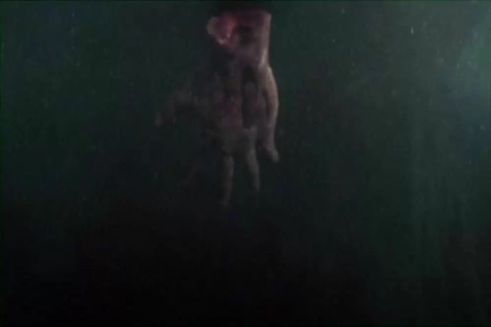 ダブルヘッド・ジョーズの画像