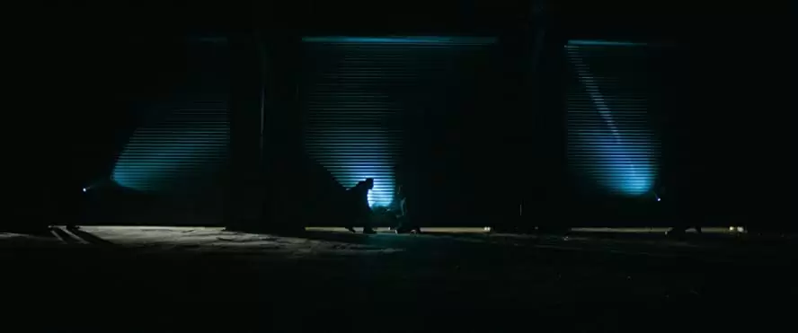 スパロークリーク 野良犬たちの長い夜の画像