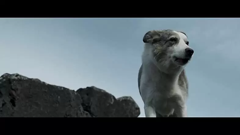 バニシングの画像