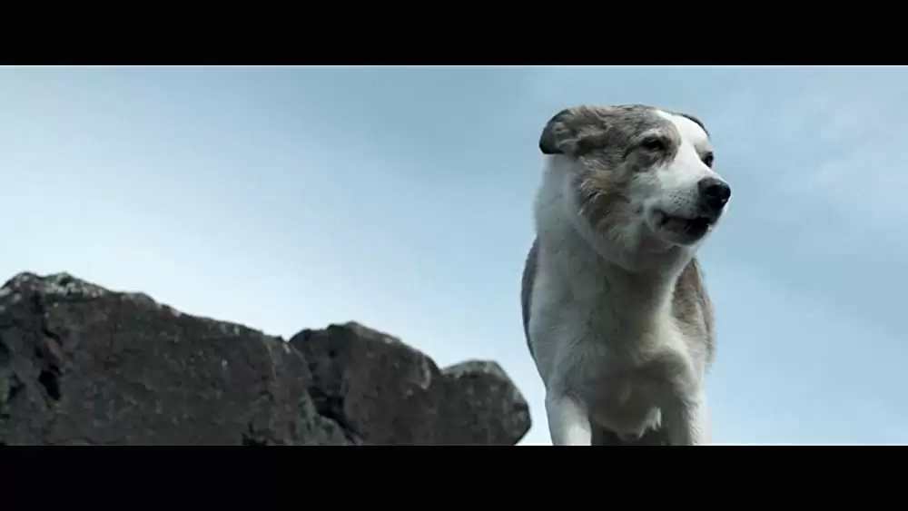 バニシングの画像