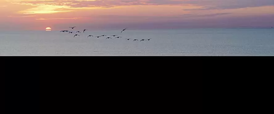 グランド・ジャーニーの画像