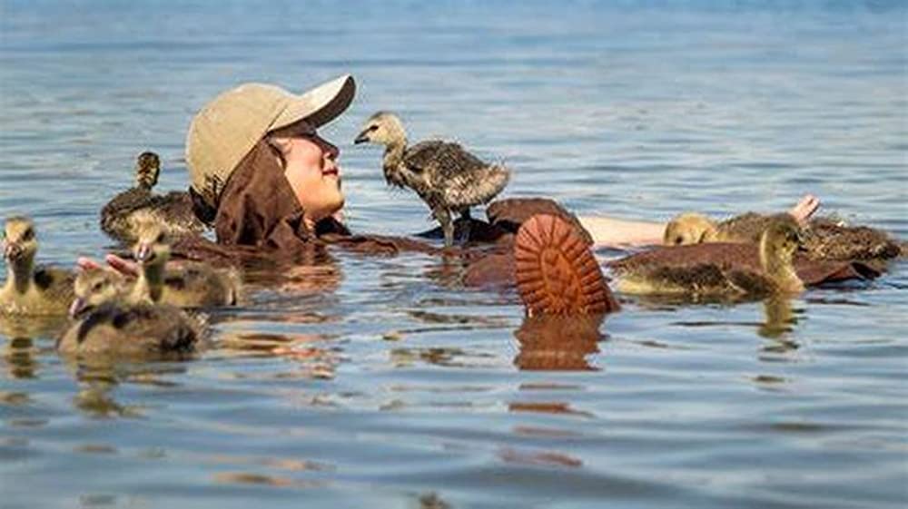 グランド・ジャーニーの画像