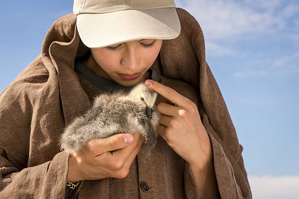 グランド・ジャーニーの画像