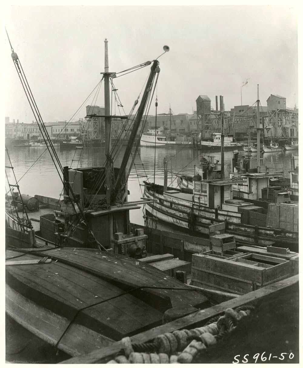 荒浪越えての画像