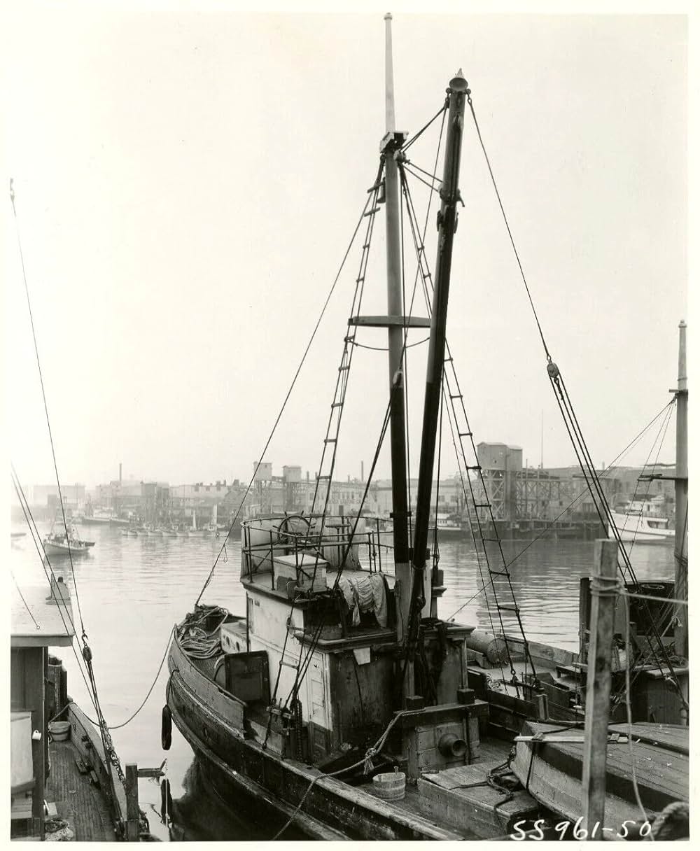 荒浪越えての画像