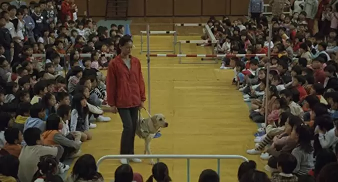 クイールの画像