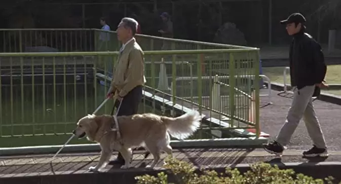 クイールの画像