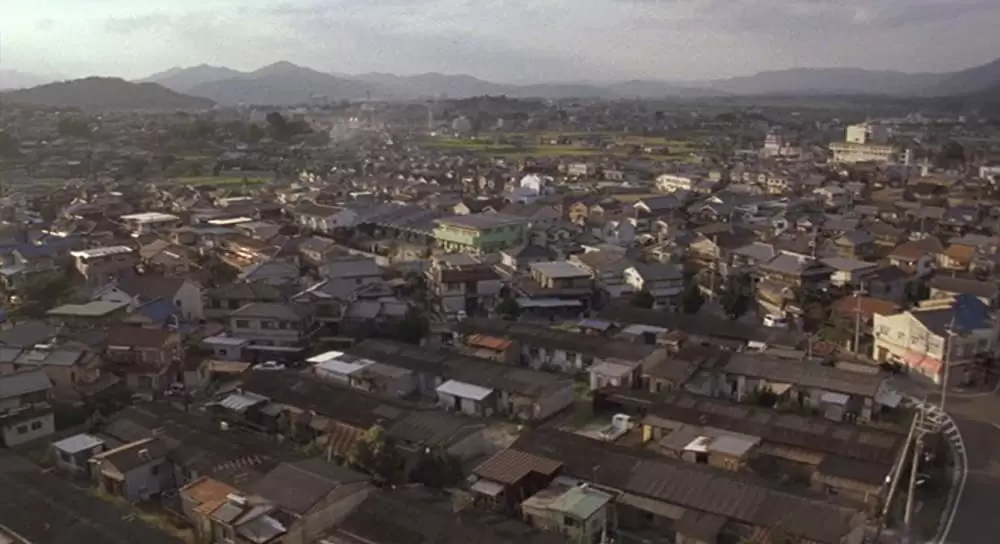 クイールの画像