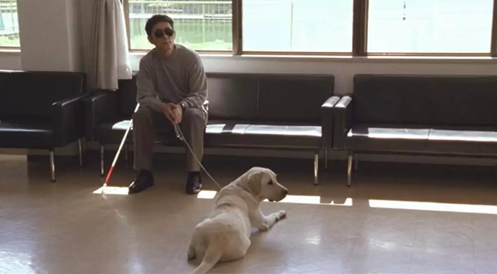 クイールの画像