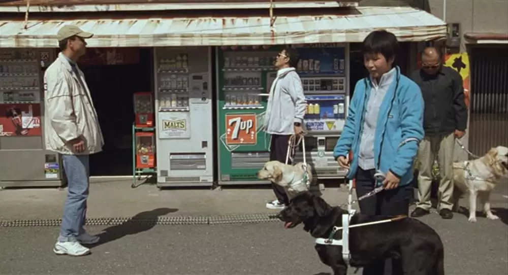 クイールの画像