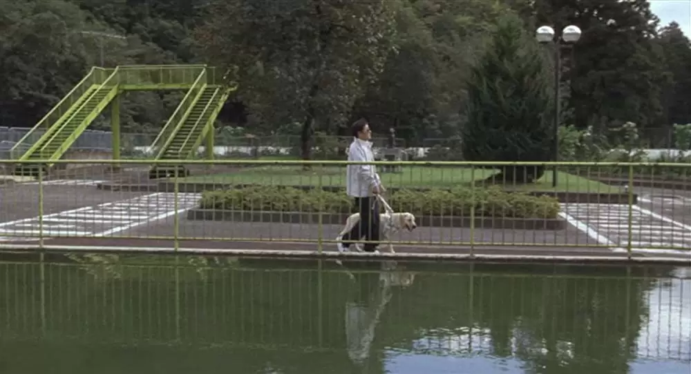 クイールの画像