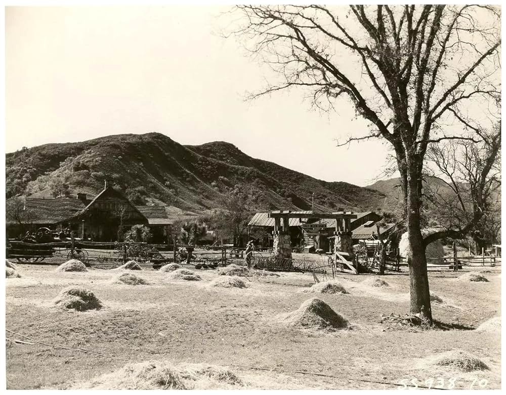 燃ゆる山道の画像
