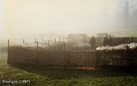 ファイアーライトの画像