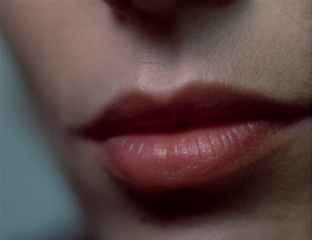 The Arrival of Joachim Stiller（英題）の画像