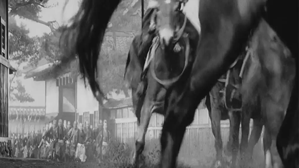 椿三十郎の画像